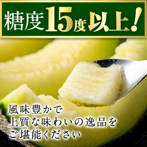 【0151112a-M】＜母の日ギフト・数量限定＞高級アールスメロン(大玉1玉・1.7kg以上、カーネーション(造花)付) メロン フルーツ 果物 果実 1キロ 数量限定 期間限定 贈答 贈り物 母の