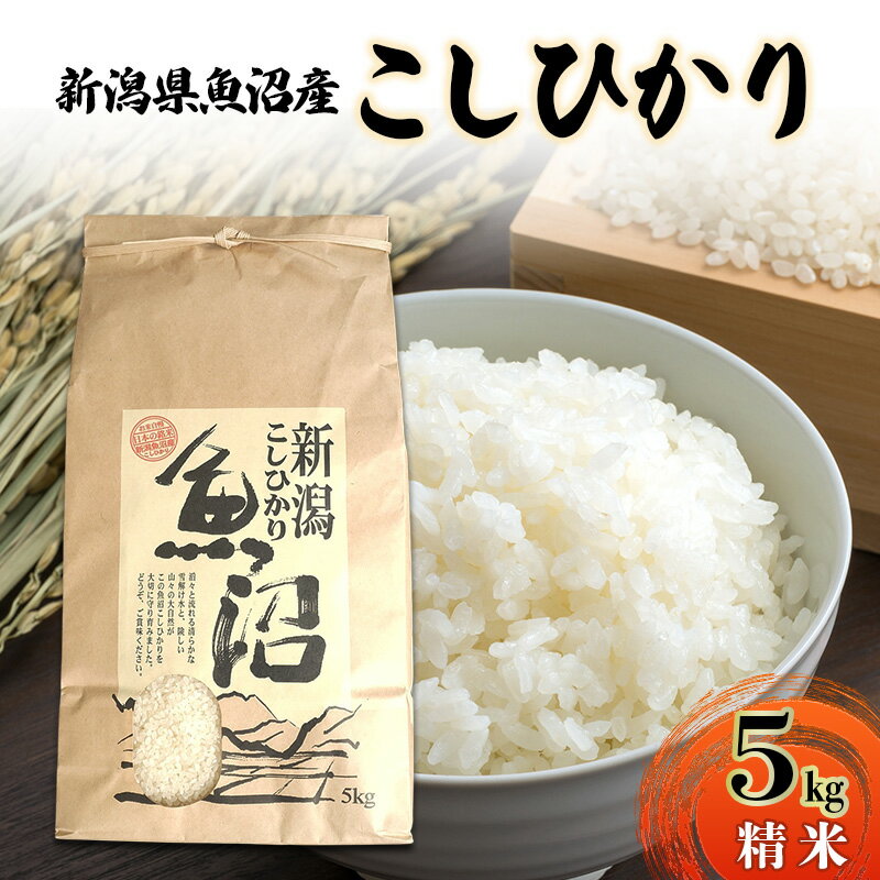 【ふるさと納税】新潟県魚沼産こしひかり5Kg（精米） 米 コシヒカリ 精米 新潟県 十日町市　お届け：2025年12月上旬～2026年6月下旬