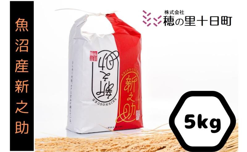 令和6年産◎魚沼産【新之助】精米5kg 十日町市 十日町 米