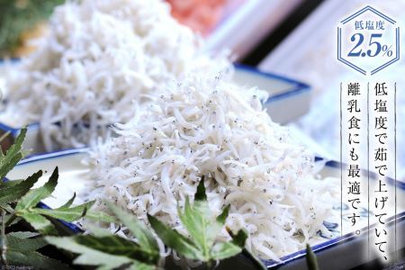 駿河湾産 しらす干し100g×1 釜上げしらす120g×2