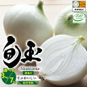 【ふるさと納税】【先行予約】 高評価☆4.68 訳あり とにかく甘い 新玉ねぎ 旬玉 選べる 3kg 7kg 季節ごとの旬玉 玉ねぎ 甘み豊か みずみずしい オニオン 生がおいしい ミネラル サラダ 玉ねぎステーキ スープ JGAP認証農場 神重農産 お取り寄せ 愛知県 碧南市 送料無料