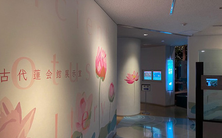 No.338 古代蓮会館・夜間特別鑑賞券～展望室から夕日と夜景を貸切で！～