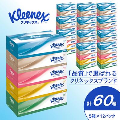 ふるさと納税 開成町 クリネックスティシュー　60箱(5箱×12パック)　ティッシュ
