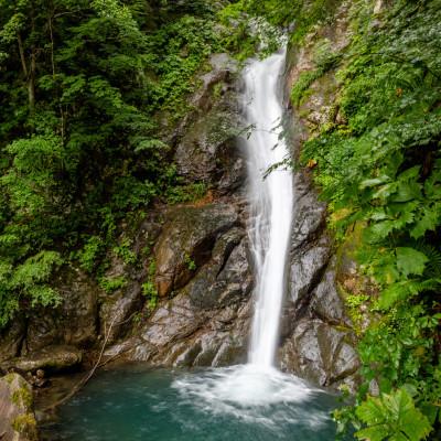 ふるさと納税 津南町 【毎月定期便】農家直送【特栽魚沼産新之助 精米 合計30kg】10kg(10kg×1袋 )全3回 |  | 02