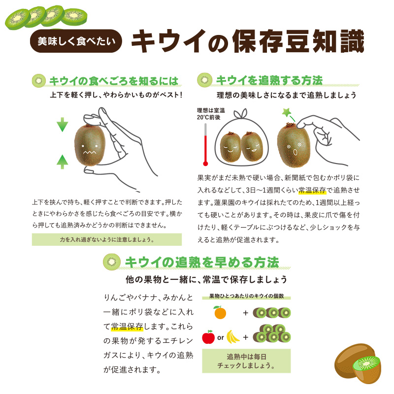【先行予約】【2025年11月上旬から発送】キウイフルーツ ヘイワード約2.5kg 大中小サイズ混合 家庭用 | 松山市産 果物 くだもの キウイ フルーツ おすすめ 人気 お取り寄せ 期間限定 数量