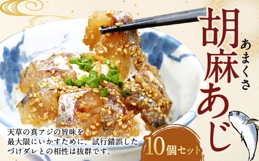 ＜ R8年熊本地震復興支援 ＞あまくさ胡麻あじ【10個セット】約80g×10個 合計約800g 真あじ 真アジ 鯵 冷凍 熊本県産 国産 九州 熊本県