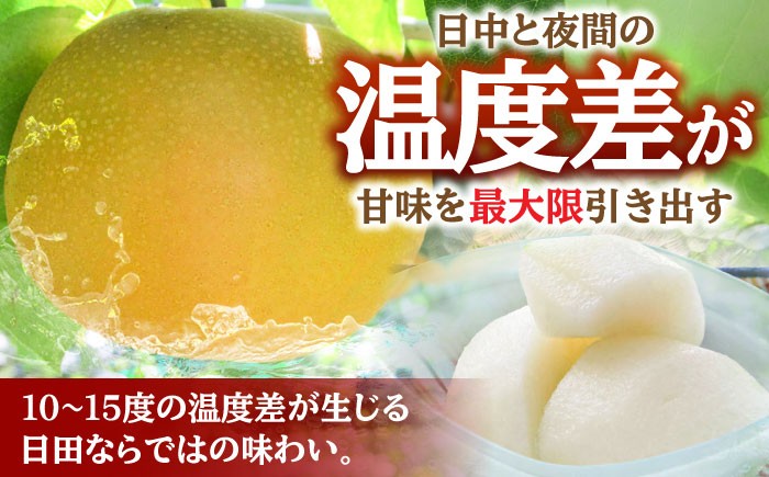 なし 梨 日田 和梨 果物 くだもの 果汁 フルーツ デザート 旬 あきづき