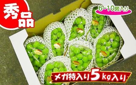 《2024年発送》大粒 シャインマスカット セット 秀品 約5kg ( 6 ～ 10房 )  2024年発送 ｜ 香川産 ぶどう マスカット