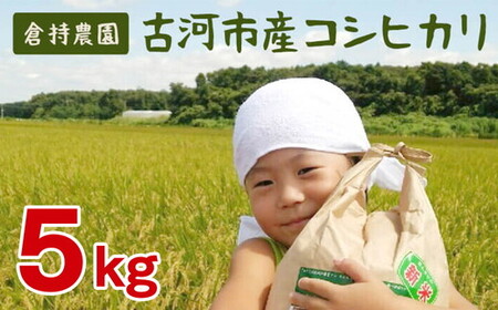 【令和8年産】古河市産　コシヒカリ5kg【倉持農園】 | 新米 米 着日指定可 _AN03 ※2026年9月～発送