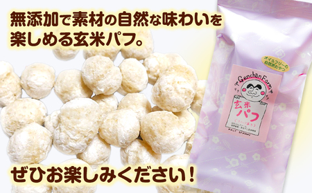 玄米パフ(10パック入り) 自然で優しい素朴なスナック菓子 元ちゃんファーム