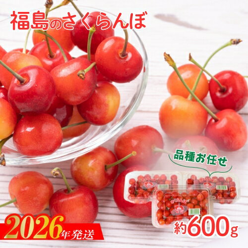 【ふるさと納税】No.2094さくらんぼ 品種お任せ 秀　L玉　約600g（200g×3パック）【2026年発送 先行予約】