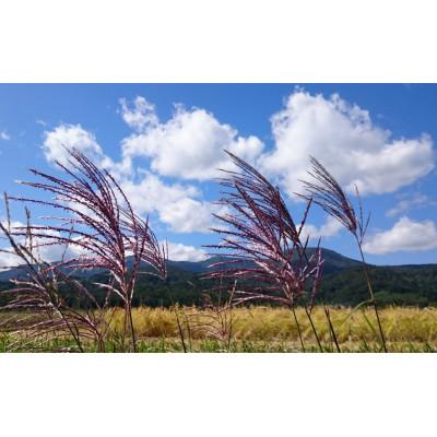 ふるさと納税 上越市 5Kg×2袋「Riki-saku コシヒカリ」アフコ・秋山農場のPB米 |  | 03