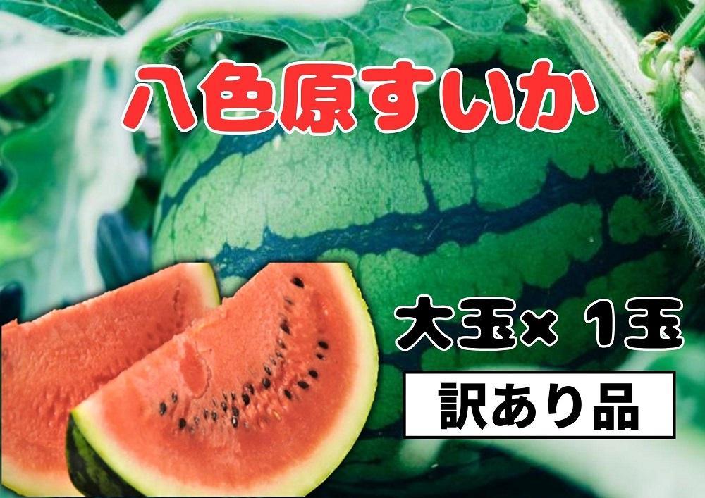 【わけあり品】八色原すいか大玉１玉