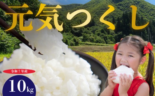 元気つくし 米 10kg 令和7年産 rice ライス 米 お米 こめ コメ 白米 ブランド 数量限定 限定 国産 福岡県産米 福岡県産 長期保存 備蓄 備蓄米 防災 ご飯 飯 コメ 朝食 夕ご飯 辻園芸 福岡 川崎町