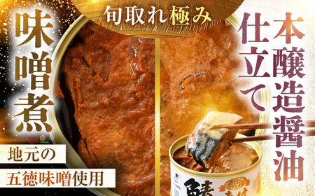 鯖缶詰6缶詰め合わせC / さば缶 缶詰 サバ 魚 小浜市 / 福井缶詰  [BFAB033]