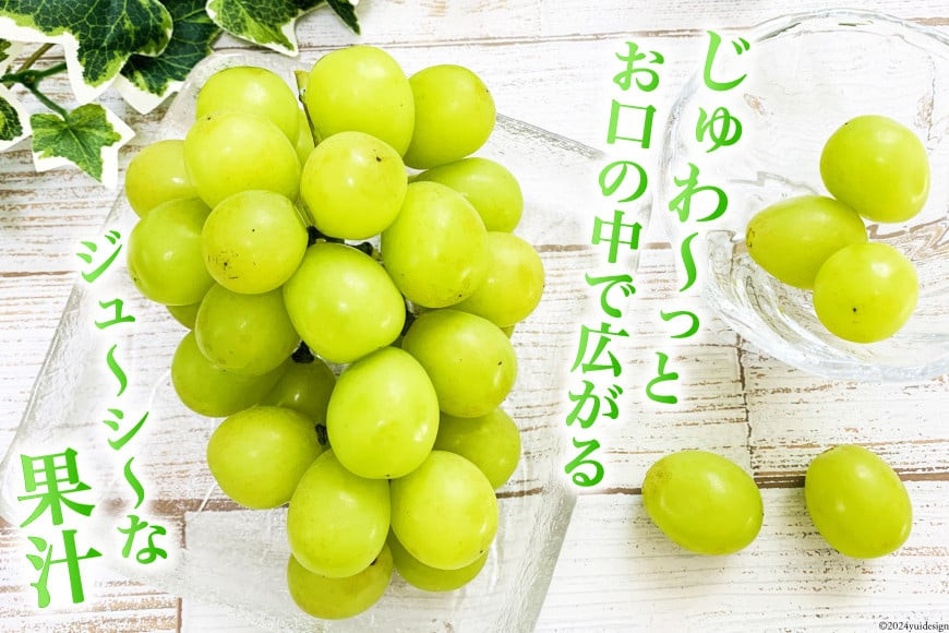 雨量計で散水量を調整