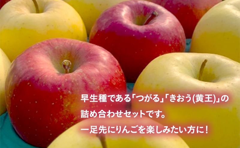 9月発送 つがる＆黄王ミックス　贈答用 約3kg【弘前市産 青森りんご】