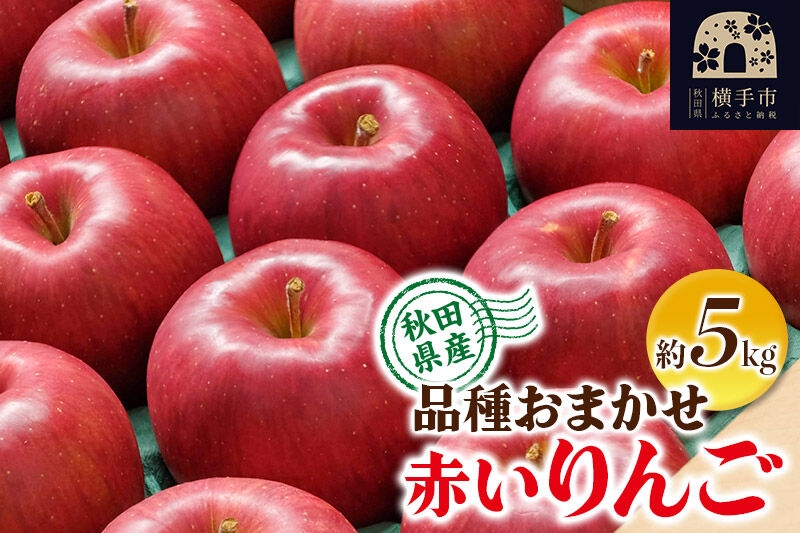 
                  【先行受付】10月上旬より発送 りんご 品種おまかせ 季節の赤いりんご 約5kg（早生ふじ(やたか)、シナノスイート、早生ふじ(こまちふじ)、サンふじ） [先行予約 秋田県 横手市 林檎 リンゴ 果物 フルーツ 【りんご】特集]
                