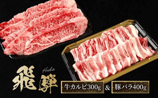 
                  飛騨牛 焼肉 カルビ300g & 飛騨豚 バラ400g ファミリーストアさとう CY044VP
                