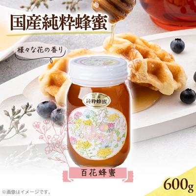 ふるさと納税 津山市 津山市産 百花蜂蜜　600g