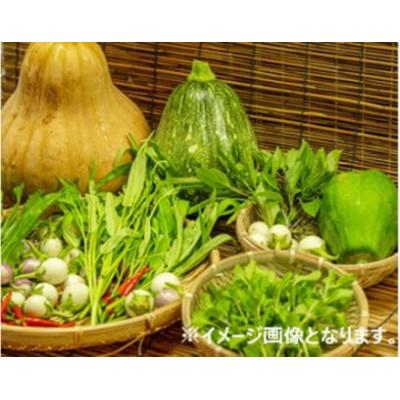 ふるさと納税 河南町 【12〜14種類】河南町新鮮アジア野菜「大満足セット」 |  | 01