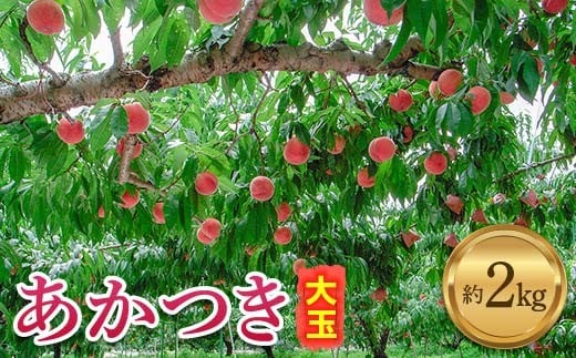 伊達市産 あかつき大玉 約2kg 6玉