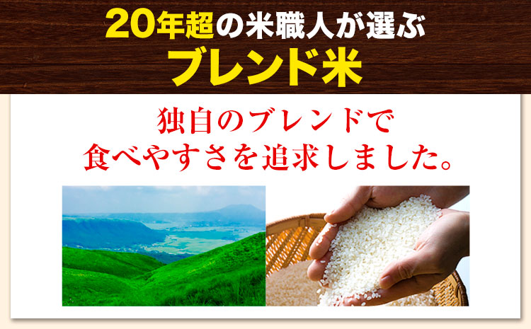【12ヶ月定期便】訳あり 米 無洗米 ごまんえつ米 5kg 5kg×1袋 米 こめ 定期便 家庭用 備蓄 熊本県 長洲町 くまもと ブレンド米 熊本県産 訳あり 常温 配送 《1月から出荷開始》