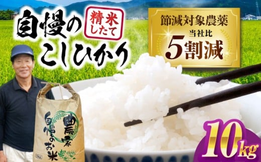 【令和7年産新米】 コシヒカリ 10kg 環境こだわり農産物  滋賀県長浜市/狩野農園 [AQDK002] 米 白米 こしひかり コシヒカリ 10kg 10キロ お米 滋賀県 長浜市 おすすめ 人気 精米 こだわり 艶 甘み 粘り ふっくら もっちり おいしいお米 おにぎり ご飯 白飯