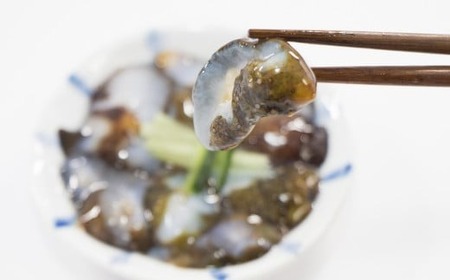 【お試し用】かき小屋広田湾の切りなまこ(生食用) 100g×2袋 なまこ