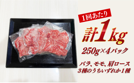 【全3回定期便】　【訳あり】 長崎和牛（A4ランク以上）1kgバラ切り落とし 250g×4P 小分け 【株式会社時愉亭】[RCE011]