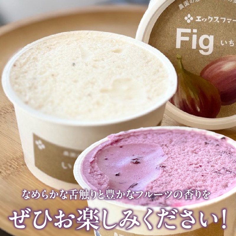 甘熟いちじくとブルーベリーのプレミアムジェラートセット 各1個 碧南市産 甘熟 いちじく 完熟 ブルーベリー 贅沢 スイーツ デザート おやつ カップ 6種 食べ比べ チーズ ミルク ヨーグルト H1