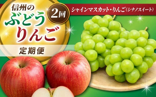 【2回定期便】信州のぶどう・りんご（シャインマスカット・シナノスイート）｜JA信州うえだ農業協同組合 長野県 東御市産