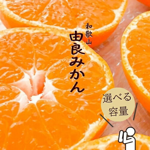 【ふるさと納税】和歌山由良みかん 秀品 選べる容量 サイズおまかせ(L・М・S) いずれかお届け / サイズ混合 ミカン 柑橘 みかん 和歌山