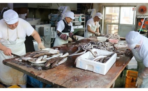 ≪最強コラボ≫ 全国で人気!!岡本中華の徳島ラーメンと大人気ソウルフード・フィッシュカツのセット　【TK-01】