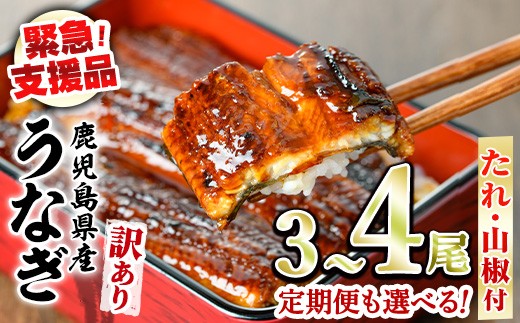 
                  【緊急支援品】＜容量が選べる＞＜訳あり＞鰻の蒲焼き(無頭)＜計約480g(3～4尾)/定期便・計約960g(3～4尾×2回)＞(タレ、山椒付) うなぎ ウナギ 鰻 蒲焼き 国産うなぎ 国産 九州産 鹿児島 鹿児島県産 人気 ランキング 高級 おすすめ 支援【アクアおおすみ】
                