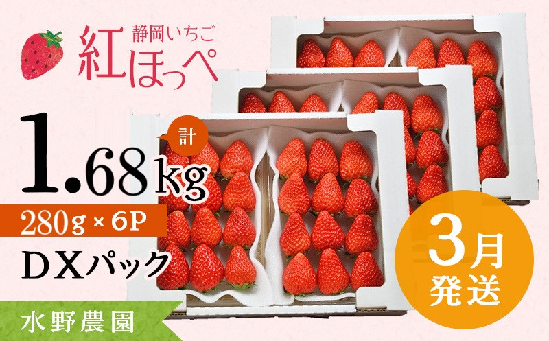 
６２８１　３月発送 掛川産完熟いちご 紅ほっぺ 280g×6P 1.68ｋｇ （1ｐ：8～15粒入) 受付順に順次発送・ 水野農園
