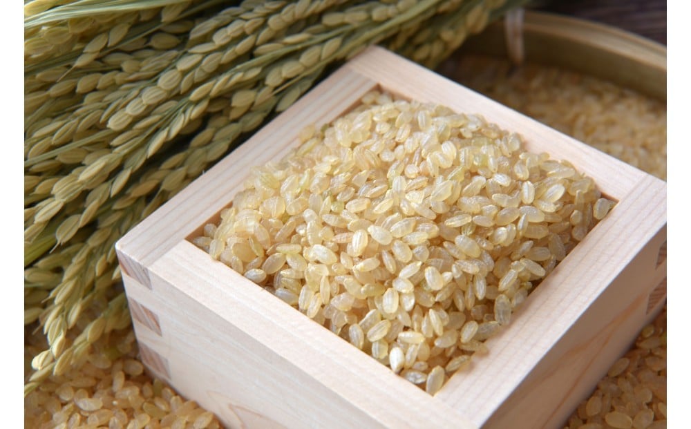 
                  日光ダイヤ舞1年目　玄米5キロ　有機栽培農薬不使用　こしひかり 令和7年度米
                