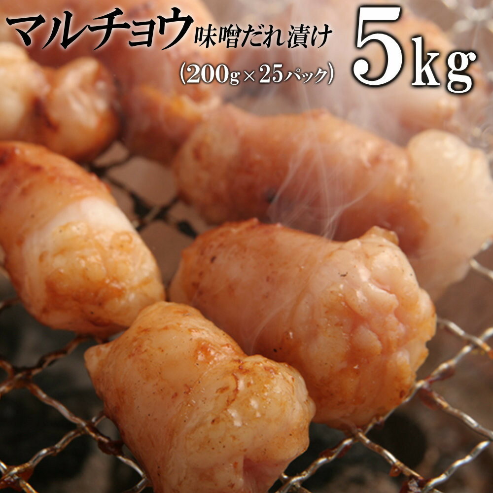【ふるさと納税】マルチョウ味噌だれ漬け5kg（200g×25） | 肉 お肉 にく 食品 ギフト