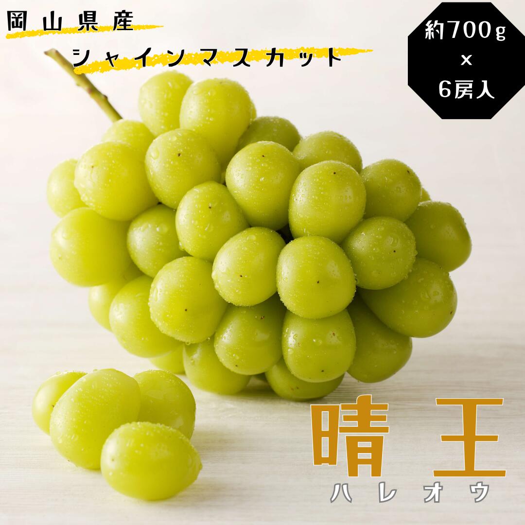 【ふるさと納税】シャインマスカット 晴王 特選 大房 約700g 6房 化粧箱入 岡山県産 ぶどう ギフト 御礼 プレゼント 御礼 御祝 御供 果物 くだもの フルーツ　Te-5
