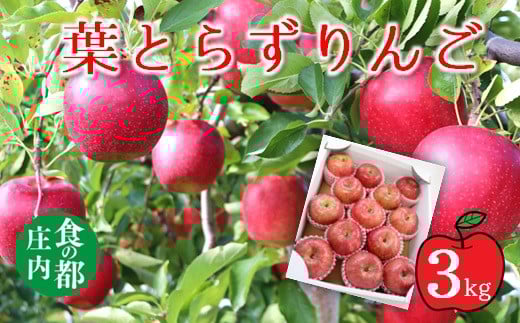 
            食の都庄内　葉とらず赤りんご　約3kg※11月中旬から2月頃まで発送
          