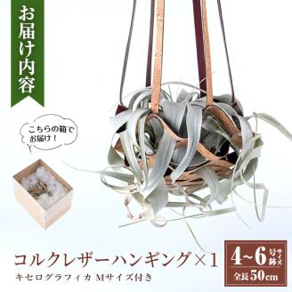 i617 コルクレザーハンギング(植物セット)地球環境や動物に配慮した素材で作られたプラントハンガー！【kurk PLANT LEATHER】