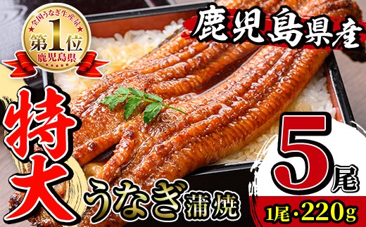 i1078-C ＼特大サイズ／鹿児島県産 うなぎ蒲焼 5尾（約220g×5・計約1100g） たれ 山椒付きうなぎ 鰻 ウナギ 特大 特大サイズ 約220g 蒲焼き 国産 鹿児島県産 焼きたて 生産量日本一 真空パック おかず 晩御飯 特別な日 【薩摩川内鰻】