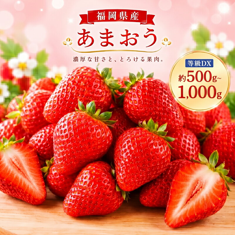 【ふるさと納税】あまおう 等級DX 約500g(2パック)/約1.000kg(4パック) 選べる内容量 1パック約250g 先行受付 事前予約 いちご 苺 フルーツ 果物 福岡県産 冷蔵 送料無料【2027年2月上旬～3月下旬に順次発送予定】
