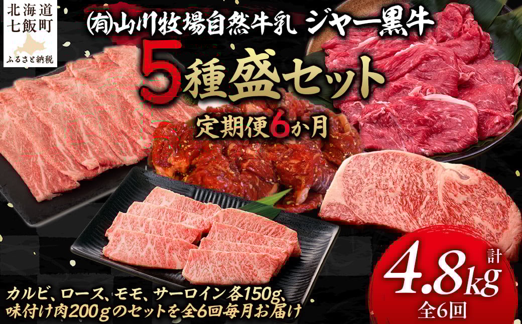 
            【定期便６か月】山川牧場ジャー黒５種盛セット 【 ふるさと納税 人気 おすすめ ランキング 北海道ブランド牛 牛 牛肉 和牛 ジャー黒 モモ モモ肉 ロース ロース肉 焼き肉 サーロイン ステーキ サーロインステーキ ステーキ肉 牛ステーキ カルビ 定期便 北海道 七飯町 送料無料 】 NAN017
          