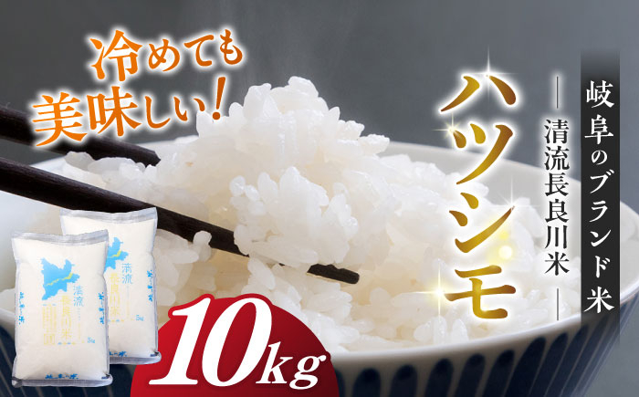 
            【R7年産】岐阜ハツシモ 10kg 名水100選に選ばれた長良川中流の水で育った「清流長良川米」 ハツシモ はしつも 長良川 清流米 すし飯  冷めても美味しい お米 米 こめ 白米 10kg 10キロ 岐阜市/森ライス [ANCU003]
          