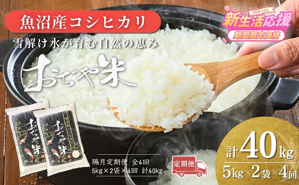 令和7年産 新潟県 魚沼産コシヒカリ「おぢや米」合計40kg(5kg×2袋×毎月お届け全4回)  JA魚沼【0002-JA18DB00-02】