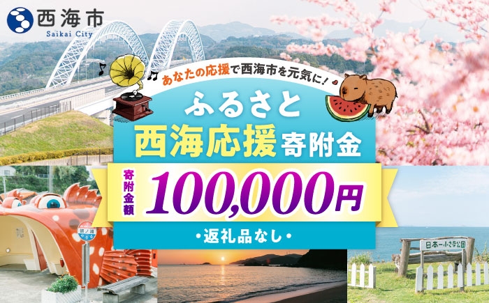 
            【返礼品なし】 長崎県 西海市 ふるさと応援寄附金（10万円分） [CZZ036]
          