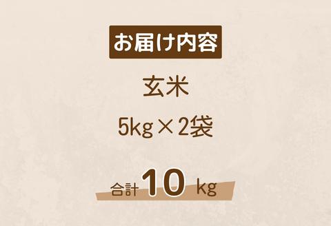 150253【令和6年産】しまね川本玄米こしひかり10kg(5kg×2)