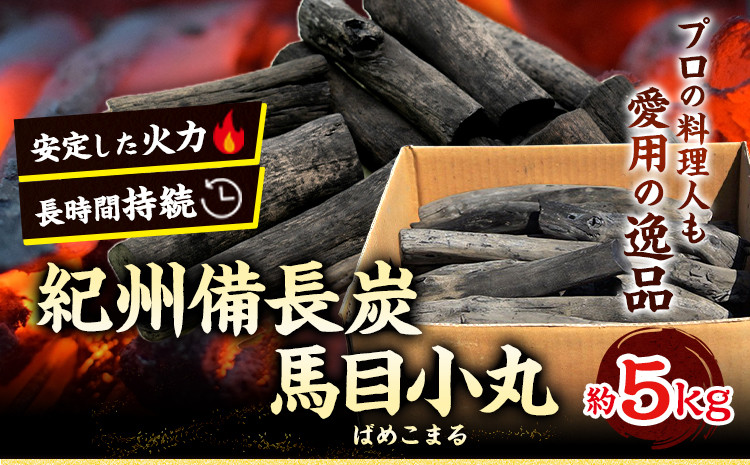 
紀州備長炭 馬目小丸 約5kg 株式会社紀 《30日以内に出荷予定(土日祝除く)》 和歌山県 日高川町 備長炭 炭 プロの 料理人 愛用 BBQ 焼肉 炭火焼き キャンプ レジャー 囲炉裏 国産 備長炭 川遊び ロッジ 行楽 安全 安心 火起こし 大活躍
