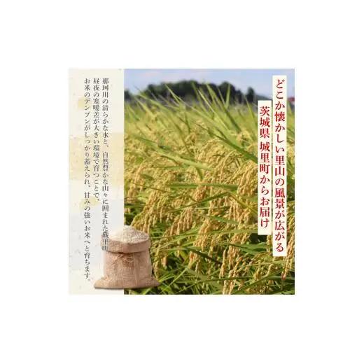 【12カ月定期便】にじのきらめき 5kg（茨城県共通返礼品・城里町産） / 米 こめ コメ お米 おこめ にじのきらめき 白米 精米 ごはん ご飯 令和7年産 5kg 定期便 茨城県 城里町 利根町